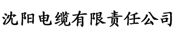 一级做a爱过程免费视频电缆厂logo